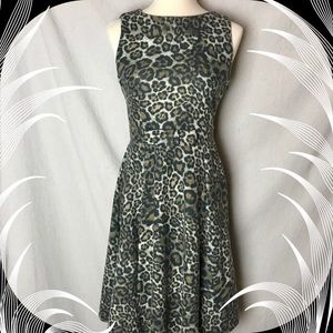 Zaraknit Sz M Animal Print Fit & Flare Dress